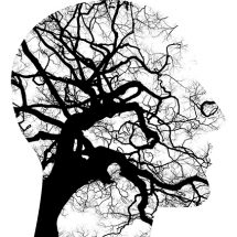salud mental adolescente