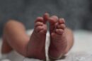 prematuros neurodesarrollo