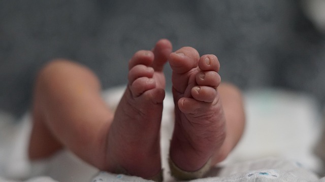 prematuros neurodesarrollo