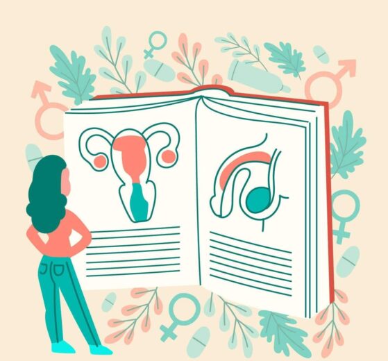 educación sexual integral en el desarrollo adolescente