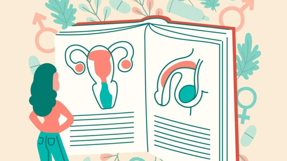 educación sexual integral en el desarrollo adolescente