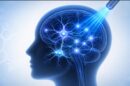 Ilustración de optogenética: neuronas activadas con luz azul en el cerebro, en referencia al Premio Nobel de Medicina 2026