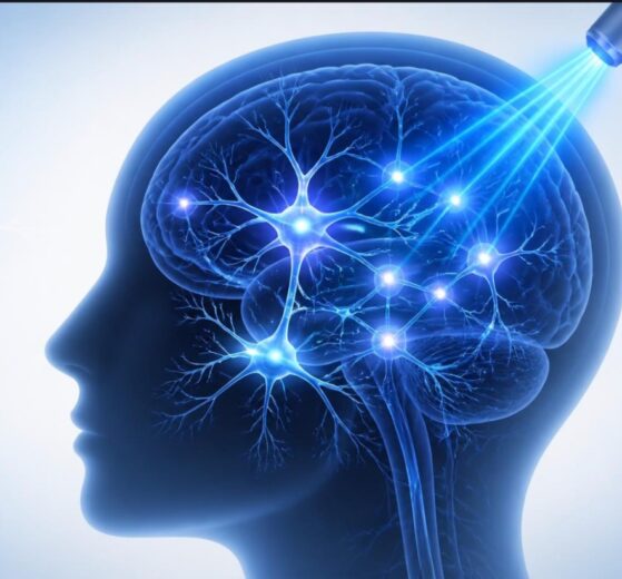 Ilustración de optogenética: neuronas activadas con luz azul en el cerebro, en referencia al Premio Nobel de Medicina 2026